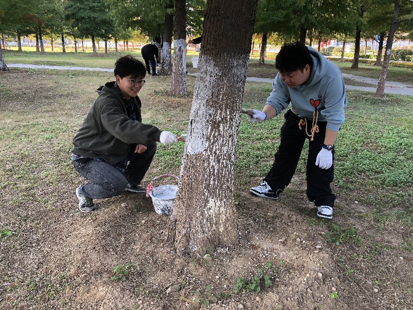 上網2
