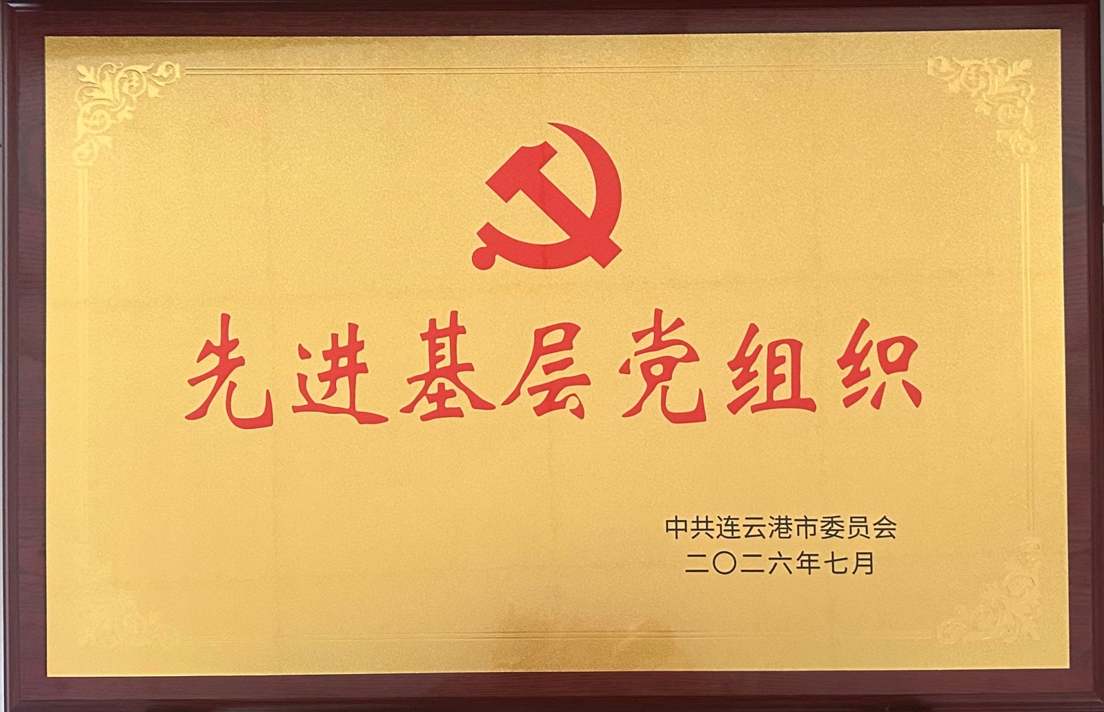 連云港市委先進基層黨組織-獎牌